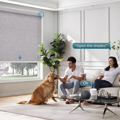 Motorized Roller Shades,70% Blackout Motorized Light Filtering Shades Compatible with Homekit Alexa Google,Smart Blind with Remote,Electric Shades for Home Office,Texure Rock Grey