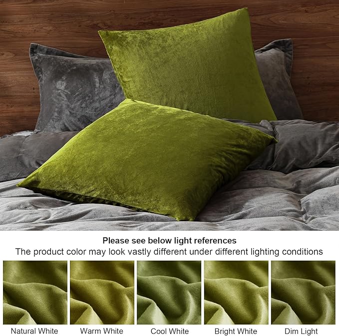 PHF Super Soft Velvet Throw Pillow Covers, 24"x24", No Insert, 2 Pack Color Gradient Cushion Covers, Ultra Soft Cozy Square Shell for Home Decorative, No Shedding, No Pilling, Olive Green