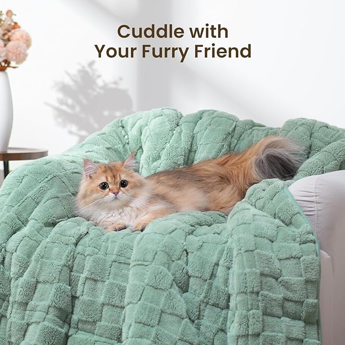 Drewin Weighted Blanket Full Size 15 Pounds, Ultra-Soft Fluffy Jacquard Sherpa Weighted Blankets for Couch Bed, Cozy Heavy Blanket for Winter, 48 x 72 inches, Sage Green