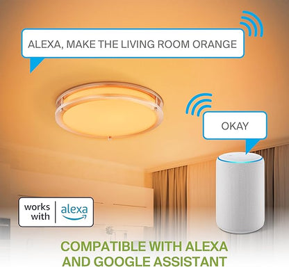 ASD LED 18" Round Flush Mount Lighting, Close to Ceiling Light Fixture | Smart, Multicolor, Dimmable, ETL Listed | 28W 1844LM RGB-2700-6500K 120V | Low Profile Double Ring Lamp | Nickel
