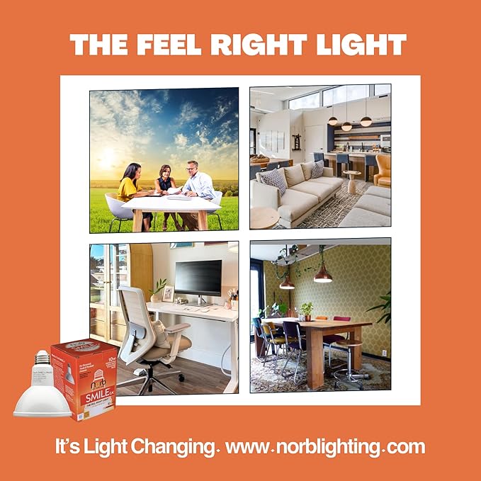 Norb NorbSMILE Full Spectrum Sun Light Bulb - CA California Energy Compliant, Par 30 Long Neck, 10W LED Flood Style Light Bulb, Natural Sunlike Spectrum Imitates Sunlight Indoors, Patented (1-Pack)