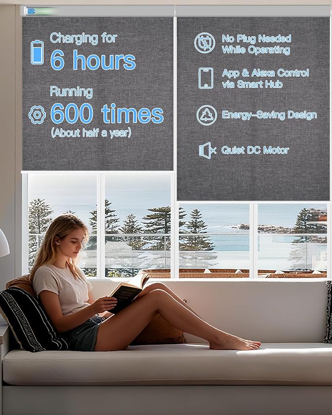 Motorized Light Filtering Roller Shades with Remote Control, Smart Blinds for Windows Compatible with Alexa Google via Hub, Rechargeable Electric Window Shade Customized Size (Dark Grey)