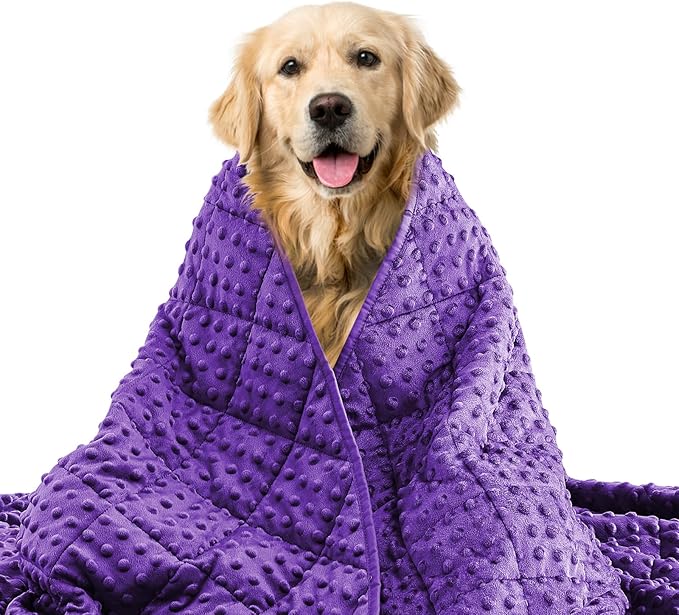 Yescool Purple Weighted Blanket for Dogs, 5 lb Thunder Blankets Shirt for Dogs, 36 x 48 inch Medium Puppy Blanket for 45-65lb, Weighted Pet Blankets for Thunderstorms, Fireworks and Construction Noise