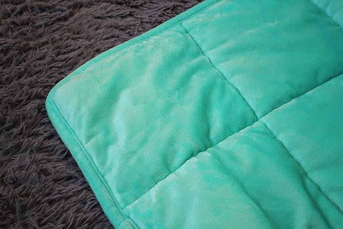 ALANSMA Reversible Weighted Blanket for All Season, Luxury Velvet, Warm and Cool, Adult 20Lb Green Weighted Blanket, Enjoy Sleeping Anywhere(Light Green,60"x80" 20lbs)