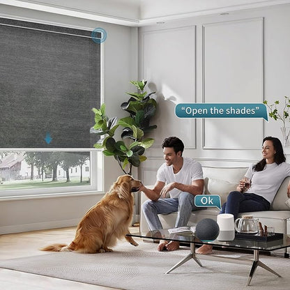 Motorized Light Filtering Roll Shades Work with HomeKit, 50% Blackout Smart Blinds for Windows, Electric Blinds with Remote, APP/Voice Control, Automatic Solar Shades,Sunscreen PVC Free Black