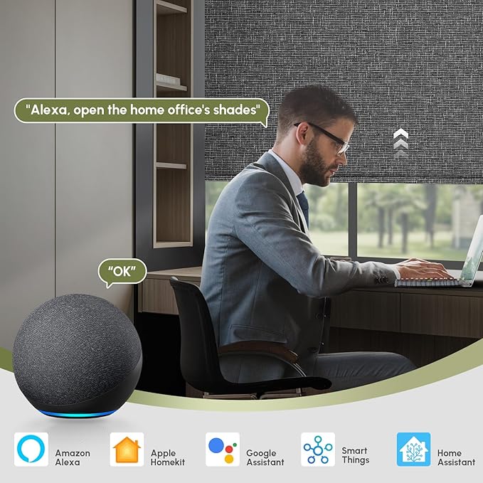 FineTell Motorized Blinds with Remote, 100% Blackout Roller Shades Compatible with Alexa,Apple Homekit,Google Home APP and Voice Control, Customized Electric Blinds (100% Blackout Classic Dark Grey)