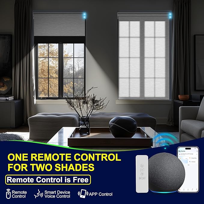BERISSA Motorized Blinds with Remote,Dual Roller Shades,Blackout&Light Filtering Smart Blinds for Windows,Remote Control,Customized Automatic Electric Shades with USB/Solar Pannel.Custom Color