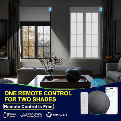 BERISSA Motorized Blinds with Remote,Dual Roller Shades,Blackout&Light Filtering Smart Blinds for Windows,Remote Control,Customized Automatic Electric Shades with USB/Solar Pannel.Custom Color