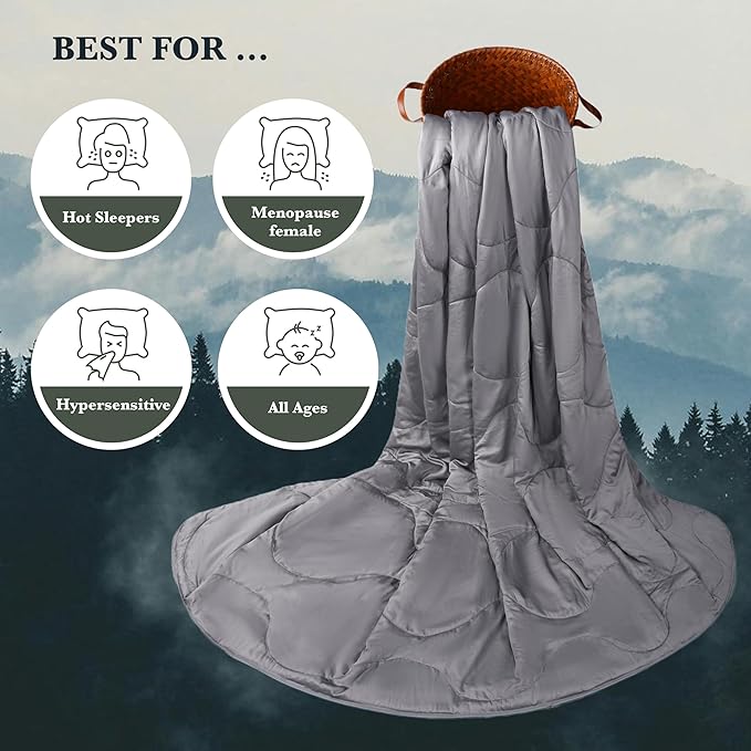 Silk Comforter Queen Size | 100% Mulberry Silk Fill with Organic Bamboo Viscose Shell | Summer Cooling Blanket for Hot Sleepers, Lightweight Breathable All-Season Bedding (Ice Grey, 90"x90")