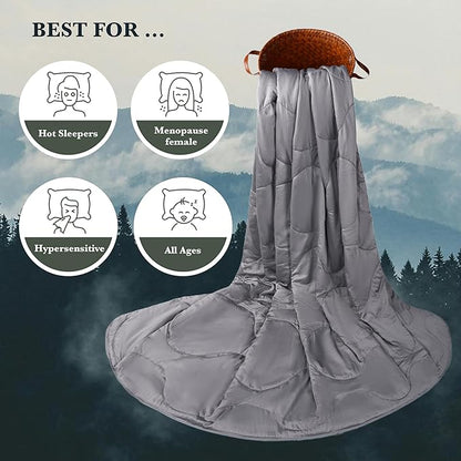 Silk Comforter King Size | 100% Mulberry Silk Fill with Organic Bamboo Viscose Shell | Summer Cooling Blanket for Hot Sleepers, Lightweight Breathable All-Season Bedding (Ice Grey, 104"x90")