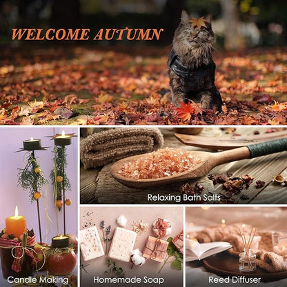 SALUBRITO Fall Fragrance Oils Set, Autumn Essential Oil for Diffuser, Candle Making, Aromatherapy Oils Gift - Cinnamon, Pumpkin Spice, Vanilla, Snickerdoodle, Spiced Cider, Nutmeg, 6x10ml