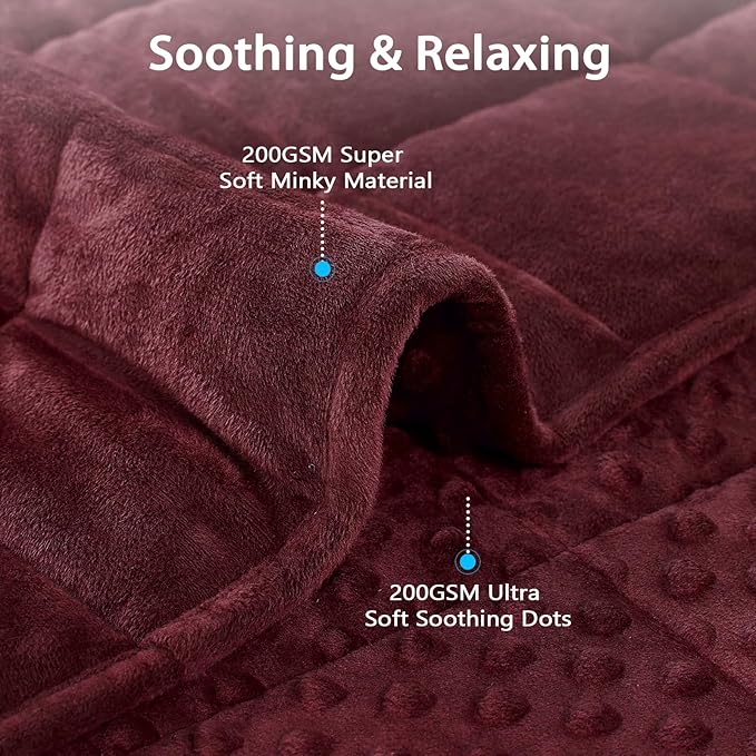 L'AGRATY Weighted Blanket - 48"x72" 10lbs Minky Dots Heavy Blanket with Glass Beads Soft Breathable for All-Season Summer Fall Winter Thick Comfort for Sleeping