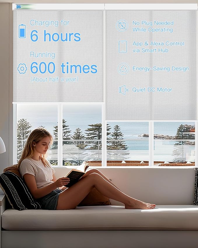 Motorized Solar Roller Shades with Remote Control, Light Filtering Smart Blinds for Windows Work with Alexa Google via Hub, Rechargeable Electric Shade Customized Size (Fireproof Silver)