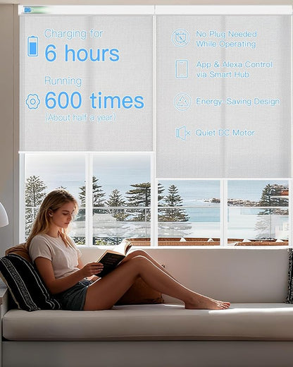 Motorized Solar Roller Shades with Remote Control, Light Filtering Smart Blinds for Windows Work with Alexa Google via Hub, Rechargeable Electric Shade Customized Size (Fireproof Silver)