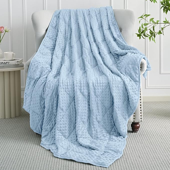 Mr. Sandman Weighted Blanket for Adults Queen Size 15 lbs, Soft Cooling Heavy Minky Blanket for Sleep, Washable Throw Blanket with Glass Beads, 60 x 80 Inches, Light Blue