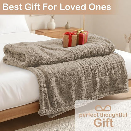 Electric Heated Blanket Full Size 72"×84" with 9 Heating Levels & 1-10Hs Auto Off，Double Sided Plush Sherpa, Energy Efficient, Machine Washable, for Couch & Bed, Light Brown