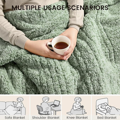 Heated Blanket Electric Blanket King - Fast Heating Blanket Throw Dual Control Double Sided Sherpa with 6 Heating Levels & 1-10 Hours Auto Off, Mashine Washable, 90 x 100 Inches, Sage