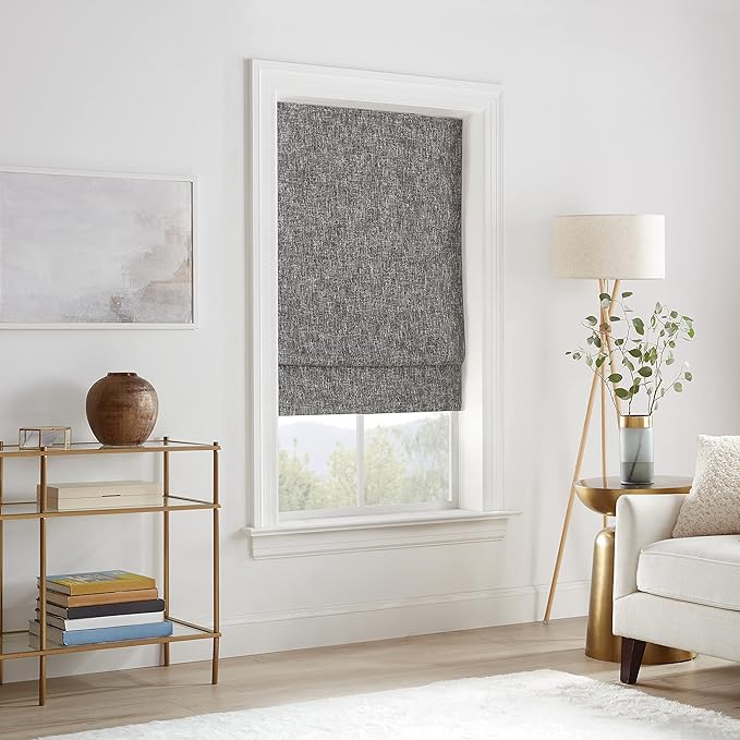 ECLIPSE Drew Noise Reducing Blackout Cordless Lined Window Roman Shade for Living Room, 27 in x 64 in, Charcoal