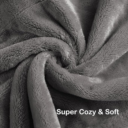 Electric Heated Blanket Queen Size 84"x90", Soft Plush Microplush for Bed, Dual Controllers & Heating Zones, 10 Hs Auto Off & 4 Heating Levels, Machine Washable, Gifts for Family-Light Gray