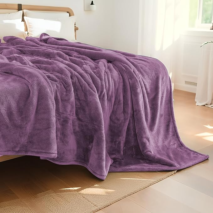 Electric Heated Blanket Queen Size 84"x90", Soft Plush Microplush for Bed, Dual Controllers & Heating Zones, 10Hs Auto Off & 5 Heating Levels, Machine Washable, Gifts for Family-Light Purple