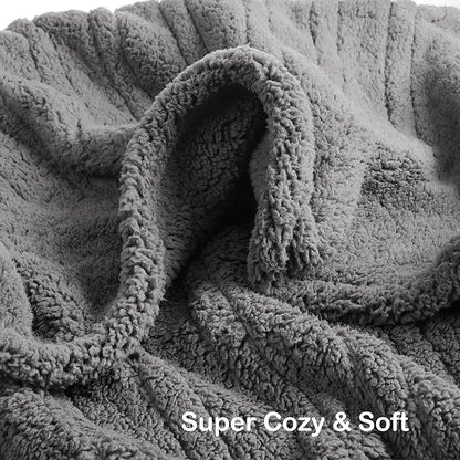 Electric Heated Blanket Full Size 72"×84" with 9 Heating Levels & 1-10Hs Auto Off，Double Sided Plush Sherpa, Energy Efficient, Machine Washable, for Couch & Bed, Light Gray