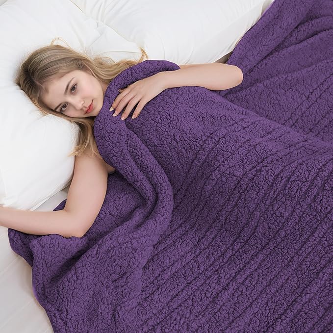Electric Heated Blanket Full Size 72"×84" with 9 Heating Levels & 1-10Hs Auto Off，Double Sided Plush Sherpa, Energy Efficient, Machine Washable, for Couch & Bed, Dark Purple