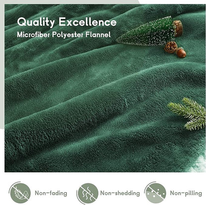 Heated Blanket Electric Blanket Queen Size 84''x90'' with 5 Heating Levels, 10 Hour Auto Shut Off, Machine Washable, Dual Controller Soft Warming Blanket for Couch, Bed, Office - Grass Green