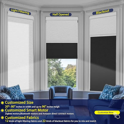 BERISSA Motorized Blinds with Remote,Dual Roller Shades,Blackout&Light Filtering Smart Blinds for Windows,Remote Control,Customized Automatic Electric Shades with USB/Solar Pannel.Custom Color