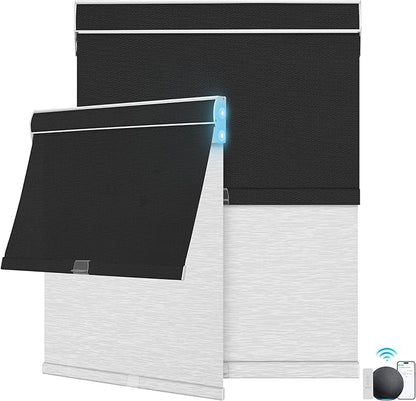 BERISSA Motorized Blinds with Remote,Dual Roller Shades,Blackout&Light Filtering Smart Blinds for Windows,Remote Control,Customized Automatic Electric Shades with USB/Solar Pannel.Custom Color