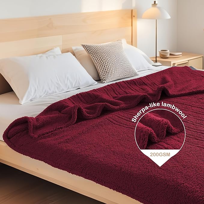 Electric Heated Blanket Throw Size 50"×60" with 9 Heating Levels & 1-10 Hs auto Off, Heating Throw Double Sided Sherpa, Energy Efficient, Machine Washable, for Couch & Office, Red