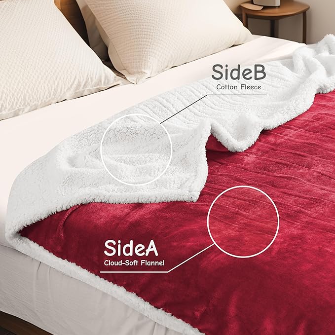 Electric Heated Blanket Queen Size 84"x90", Soft Flannel with Dual Controllers & Overheat Protection, 9 Adjustable Heat Settings & 10-Hour Auto-Off Timer, Fast Heating for Winter Comfort, Red