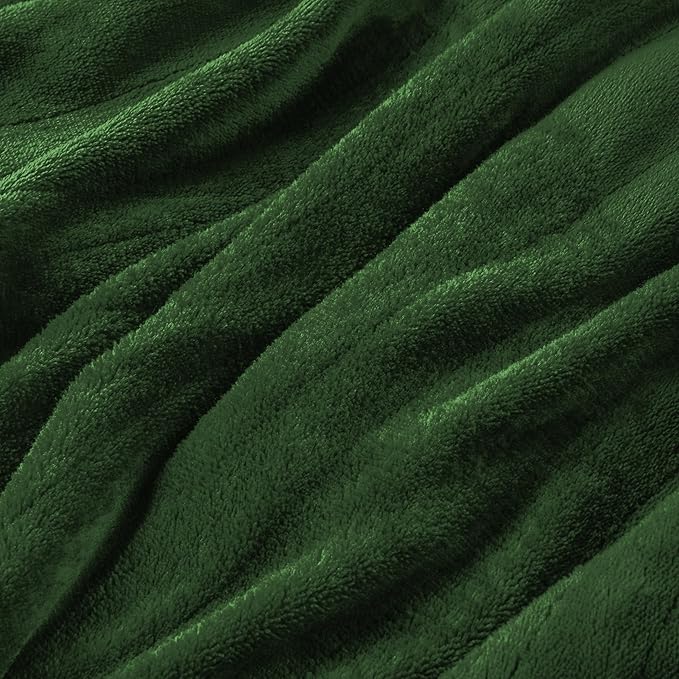 Electric Heated Blanket Twin Size 62"x84", Fast Heating Throw, Soft Plush Microplush for Bed & Couch, 10 Hours Auto Off & 5 Heating Levels, Machine Washable, Gifts for Grandma & Family-Green