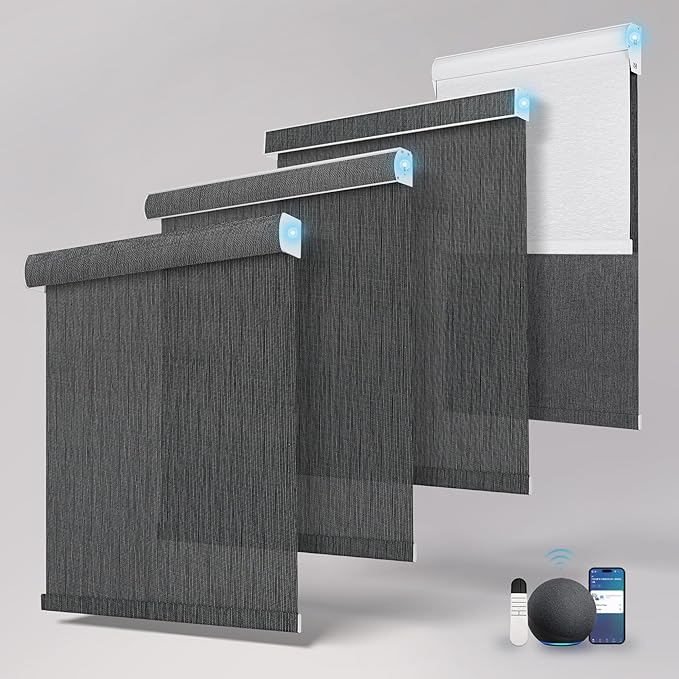 BERISSA Motorized Blinds with Remote,Light Filtering Smart Roller Shades with App,Voice Control,See-Through Fabric,Thermal Insulated Automatic Blinds,Electric Shades with USB/Solar Pannel.Solar Black