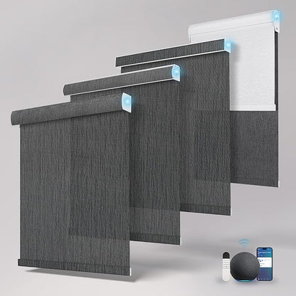 BERISSA Motorized Blinds with Remote,Light Filtering Smart Roller Shades with App,Voice Control,See-Through Fabric,Thermal Insulated Automatic Blinds,Electric Shades with USB/Solar Pannel.Solar Black