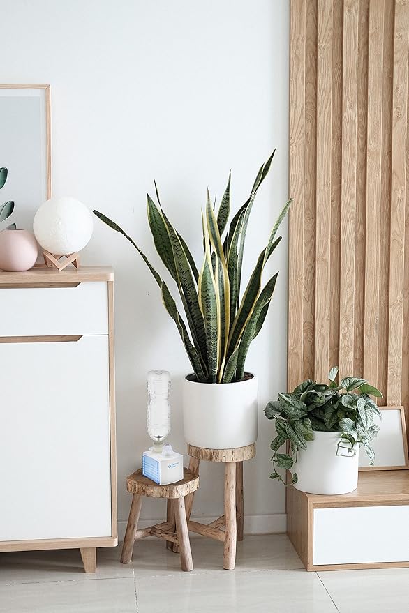 Comfort Zone Ultrasonic Turn Bottle into into Personal Portable Humidifier - 6 Hour Operation - Whisper Quiet, Travel, White